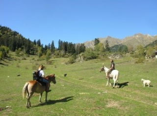 Descubre nuestra region a caballo